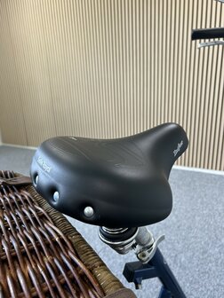 Driewielfiets | van Raam Maxi | Elektrische onderst.